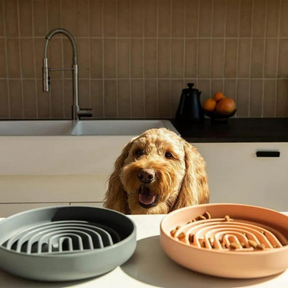 Comedor Lento con Sistema Antideslizante (Slow Feeder Dog Bowl)